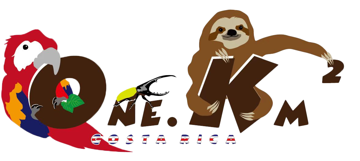 OneK Costa Rica Logo